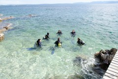 AOWD IN SR - KOSTRENA - 24.5.2013